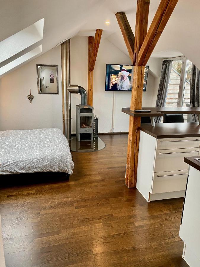 Апартаменты Wohnen Ueber Den Daechern Von Ravensburg, Stadtnah, Kamin, Klima Экстерьер фото