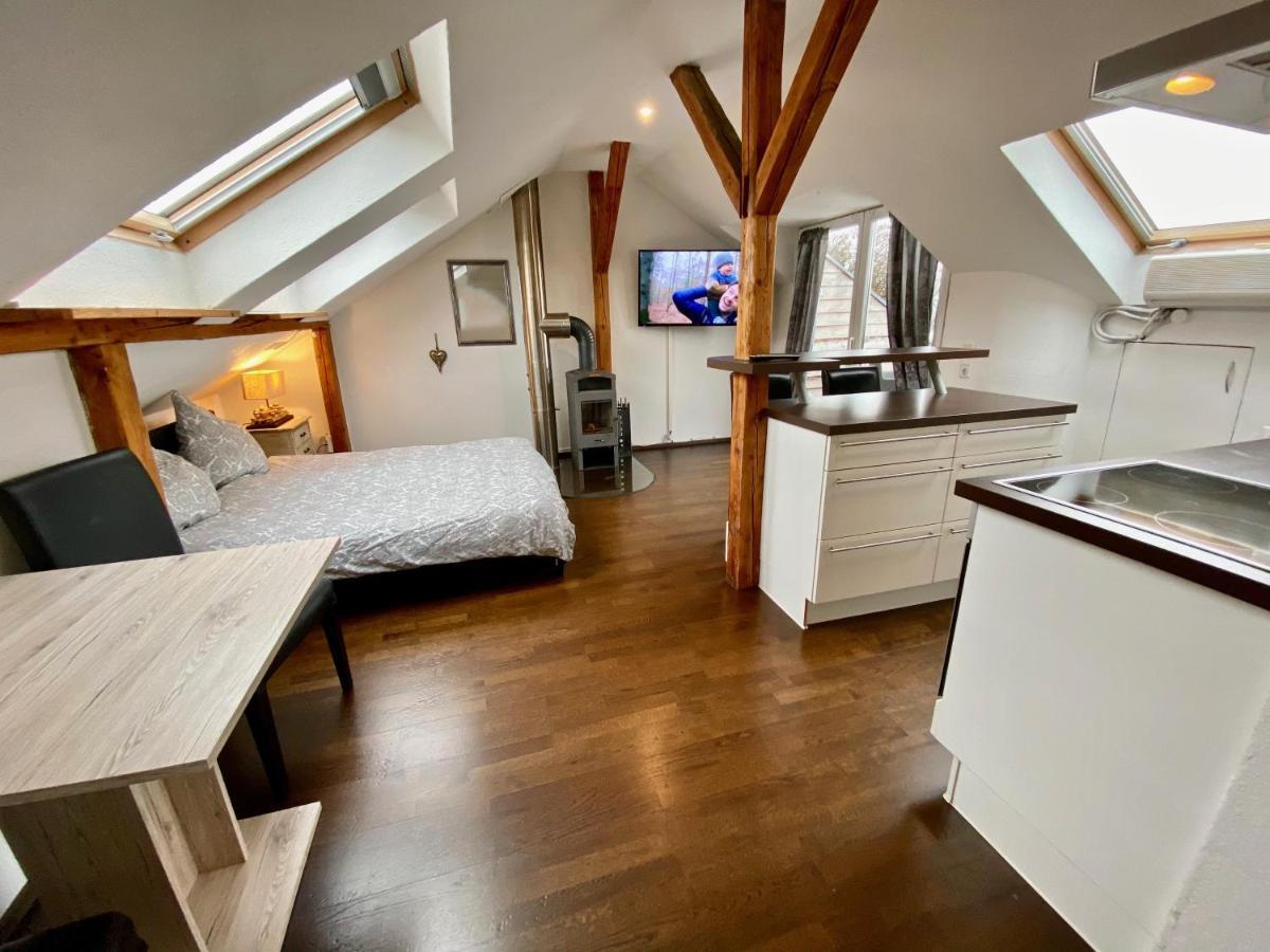 Апартаменты Wohnen Ueber Den Daechern Von Ravensburg, Stadtnah, Kamin, Klima Экстерьер фото